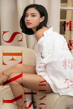 杨门女将电视剧